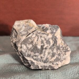 Zebra Jasper
